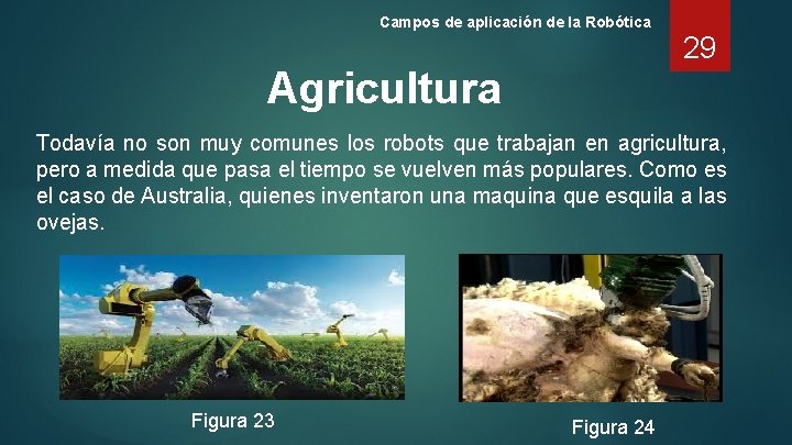 Campos de aplicación de la Robótica Agricultura 29 Todavía no son muy comunes los