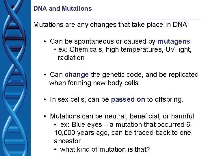 DNA and Mutations are any changes that take place in DNA: • Can be