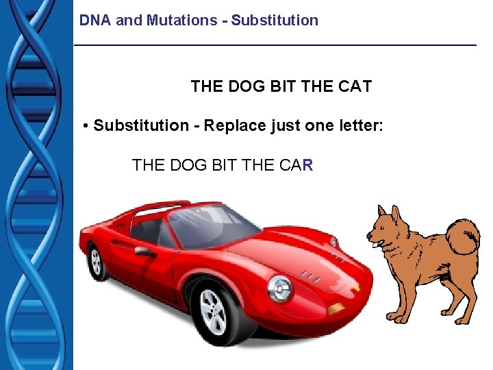 DNA and Mutations - Substitution THE DOG BIT THE CAT • Substitution - Replace DNA and Mutations - Substitution THE DOG BIT THE CAT • Substitution - Replace