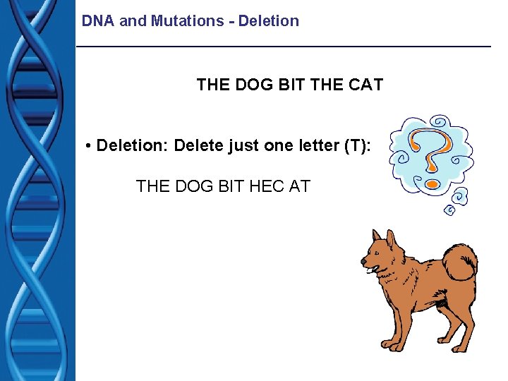 DNA and Mutations - Deletion THE DOG BIT THE CAT • Deletion: Delete just