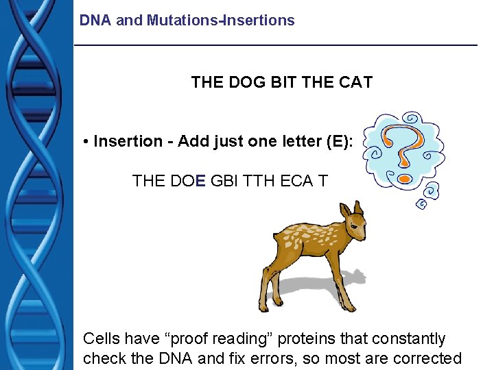 DNA and Mutations-Insertions THE DOG BIT THE CAT • Insertion - Add just one DNA and Mutations-Insertions THE DOG BIT THE CAT • Insertion - Add just one