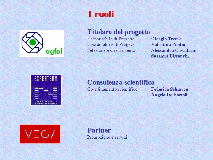 I ruoli Titolare del progetto Responsabile di Progetto. Coordinatrice di Progetto Selezione e orientamento