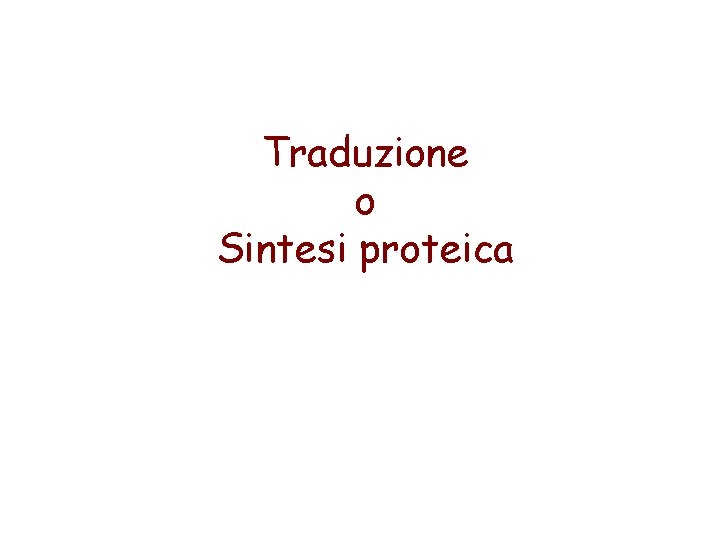 Traduzione o Sintesi proteica 