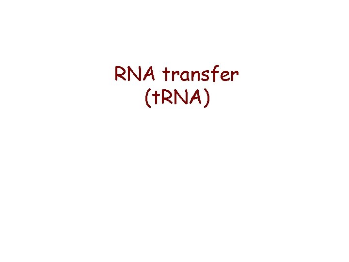 RNA transfer (t. RNA) 