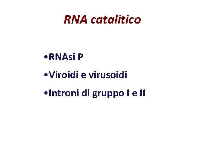 RNA catalitico • RNAsi P • Viroidi e virusoidi • Introni di gruppo I