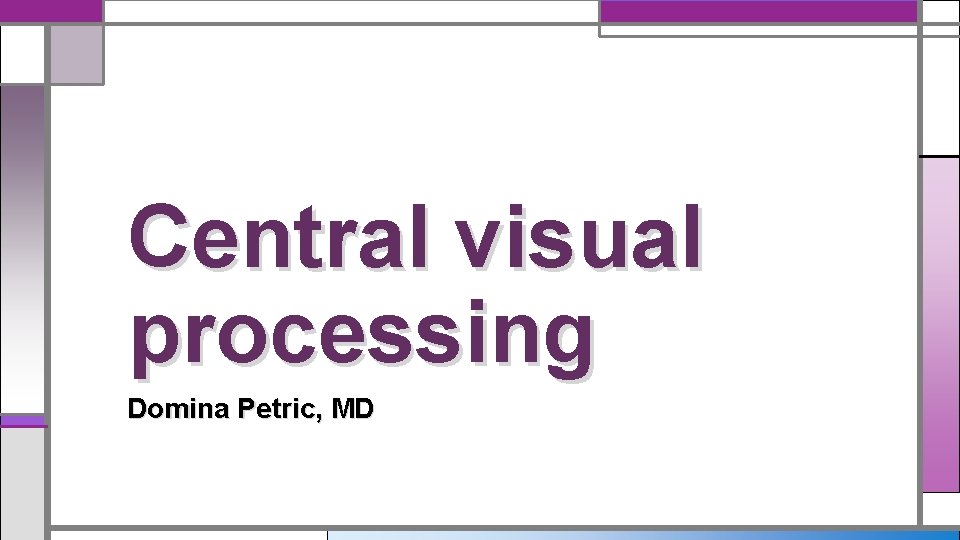 Central visual processing Domina Petric, MD 