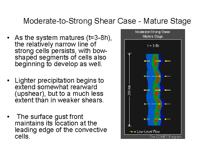 Moderate-to-Strong Shear Case - Mature Stage • As the system matures (t=3 -8 h),