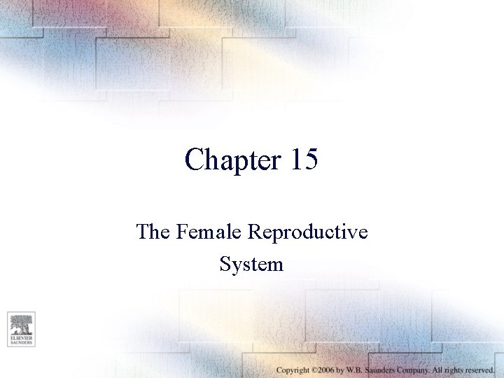 Chapter 15 The Female Reproductive System 