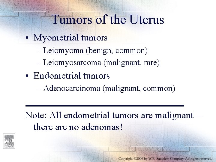 Tumors of the Uterus • Myometrial tumors – Leiomyoma (benign, common) – Leiomyosarcoma (malignant,