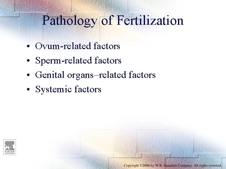 Pathology of Fertilization • • Ovum-related factors Sperm-related factors Genital organs–related factors Systemic factors