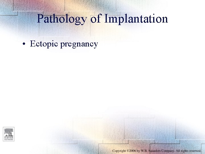 Pathology of Implantation • Ectopic pregnancy 