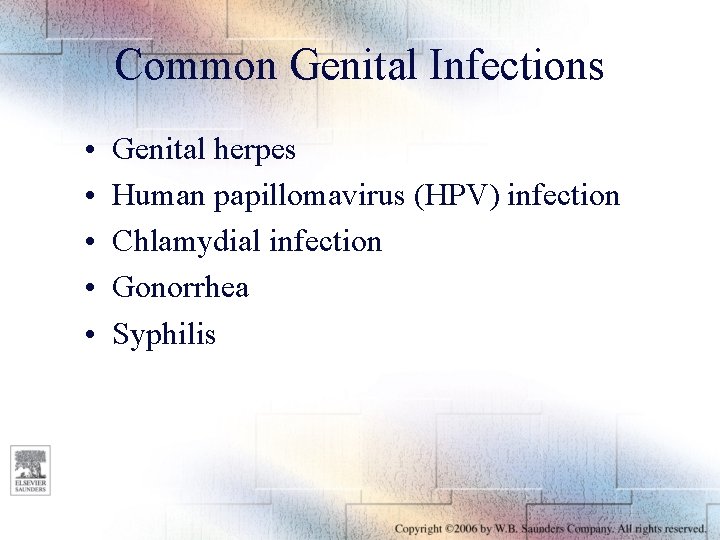 Common Genital Infections • • • Genital herpes Human papillomavirus (HPV) infection Chlamydial infection