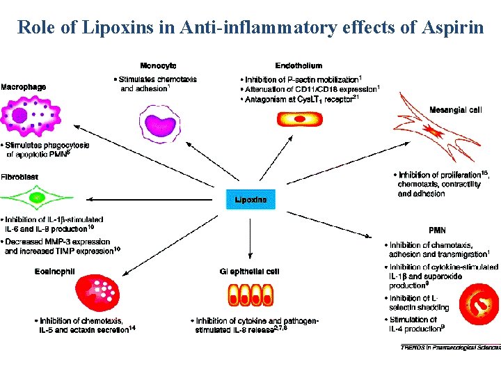 Role of Lipoxins in Anti-inflammatory effects of Aspirin 