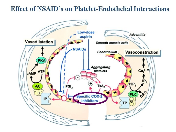 Effect of NSAID’s on Platelet-Endothelial Interactions 