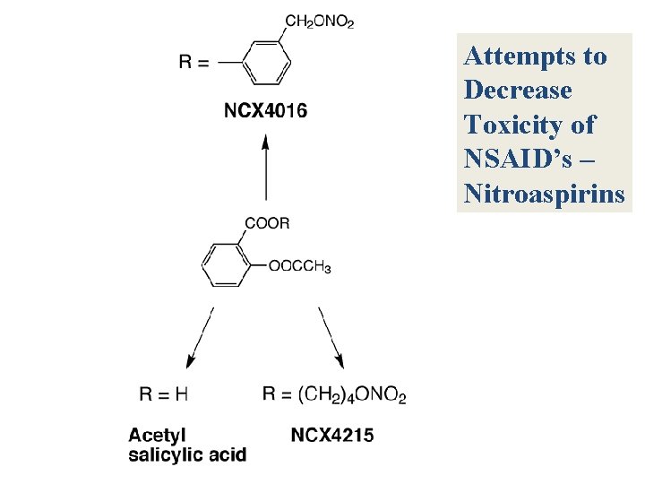 Attempts to Decrease Toxicity of NSAID’s – Nitroaspirins 
