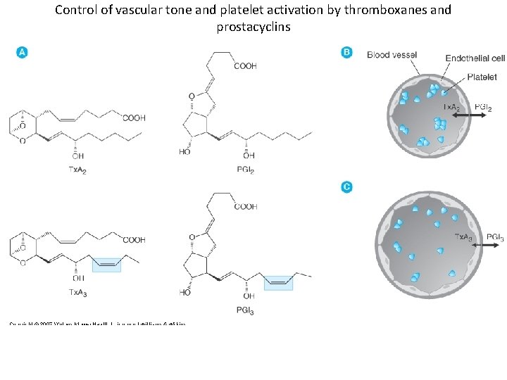 Control of vascular tone and platelet activation by thromboxanes and prostacyclins 