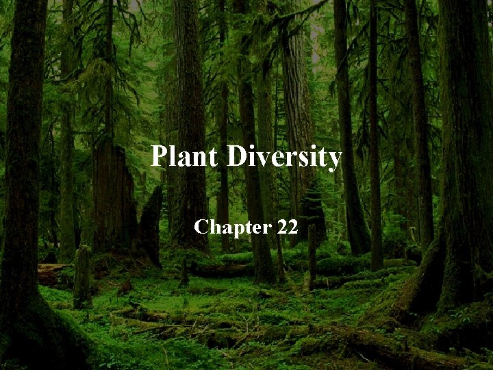 Plant Diversity Chapter 22 