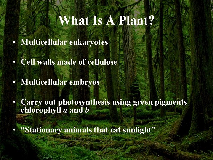 What Is A Plant? • Multicellular eukaryotes • Cell walls made of cellulose •