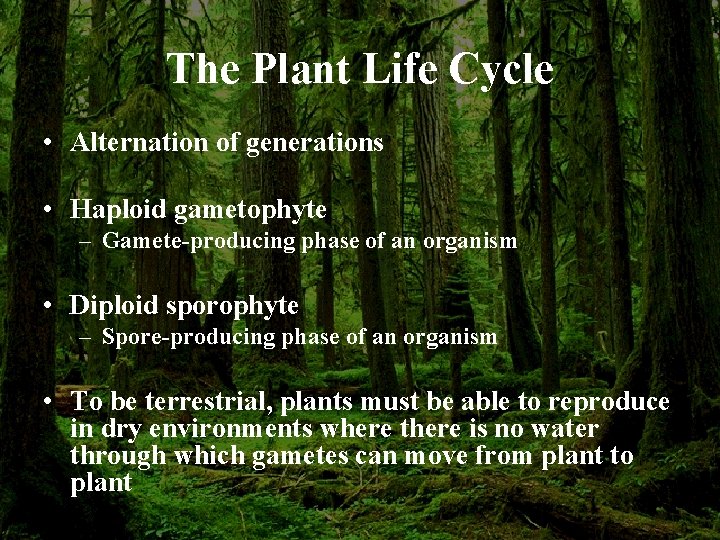 The Plant Life Cycle • Alternation of generations • Haploid gametophyte – Gamete-producing phase