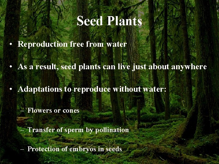Seed Plants • Reproduction free from water • As a result, seed plants can