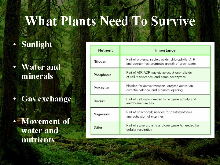 What Plants Need To Survive • Sunlight • Water and minerals • Gas exchange