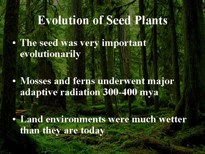 Evolution of Seed Plants • The seed was very important evolutionarily • Mosses and