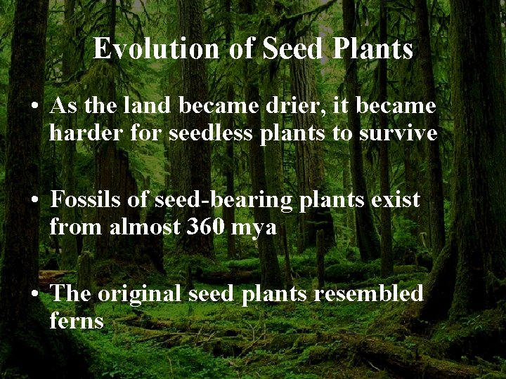 Evolution of Seed Plants • As the land became drier, it became harder for