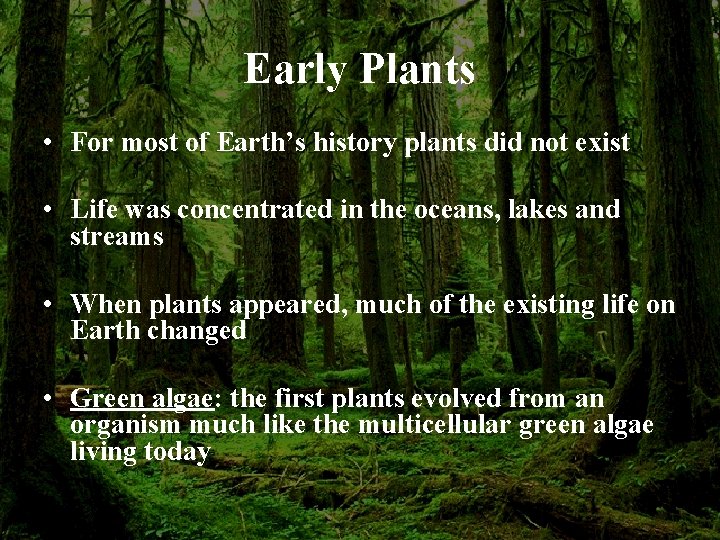 Early Plants • For most of Earth’s history plants did not exist • Life