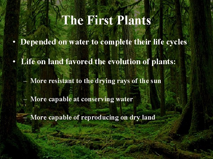 The First Plants • Depended on water to complete their life cycles • Life