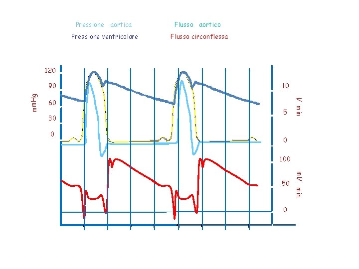 Pressione aortica Flusso aortico Pressione ventricolare Flusso circonflessa 120 10 60 30 0 5
