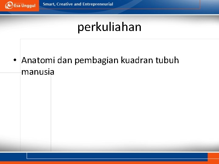 perkuliahan • Anatomi dan pembagian kuadran tubuh manusia 