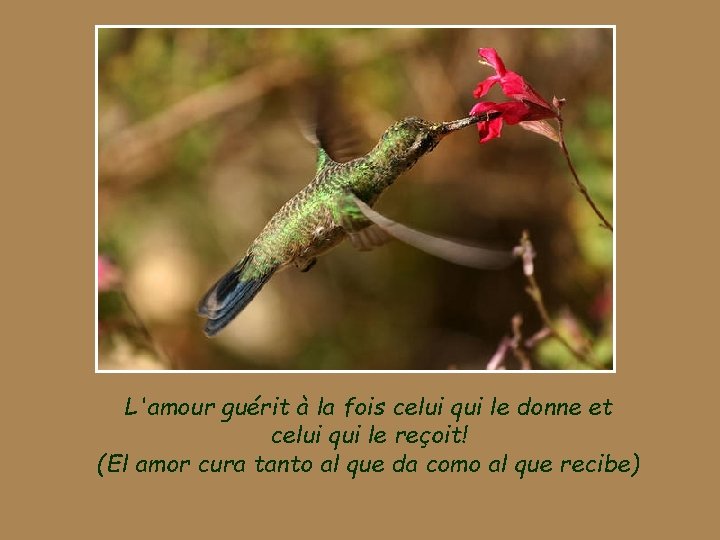 L'amour guérit à la fois celui qui le donne et celui qui le reçoit!