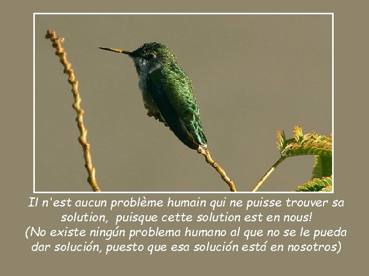 Il n'est aucun problème humain qui ne puisse trouver sa solution, puisque cette solution