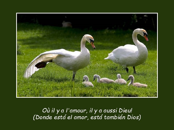 Où il y a l'amour, il y a aussi Dieu! (Donde está el amor,