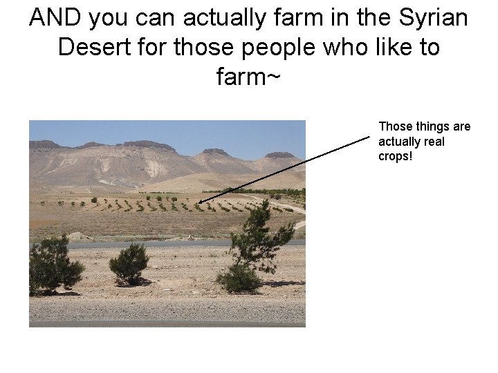 AND you can actually farm in the Syrian Desert for those people who like