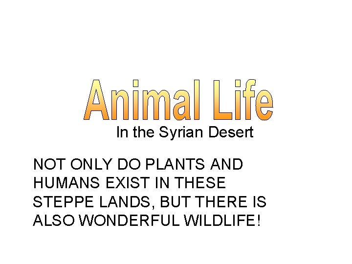 In the Syrian Desert NOT ONLY DO PLANTS AND HUMANS EXIST IN THESE STEPPE