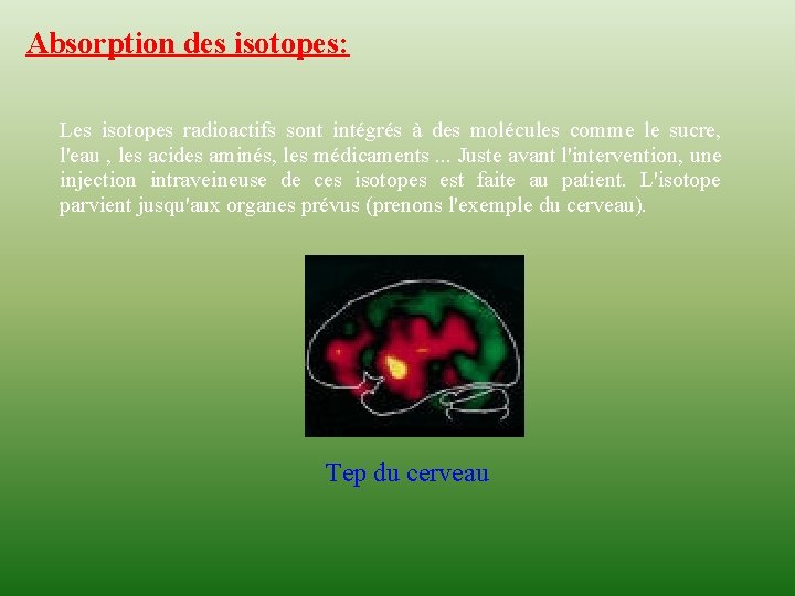 Absorption des isotopes: Les isotopes radioactifs sont intégrés à des molécules comme le sucre,