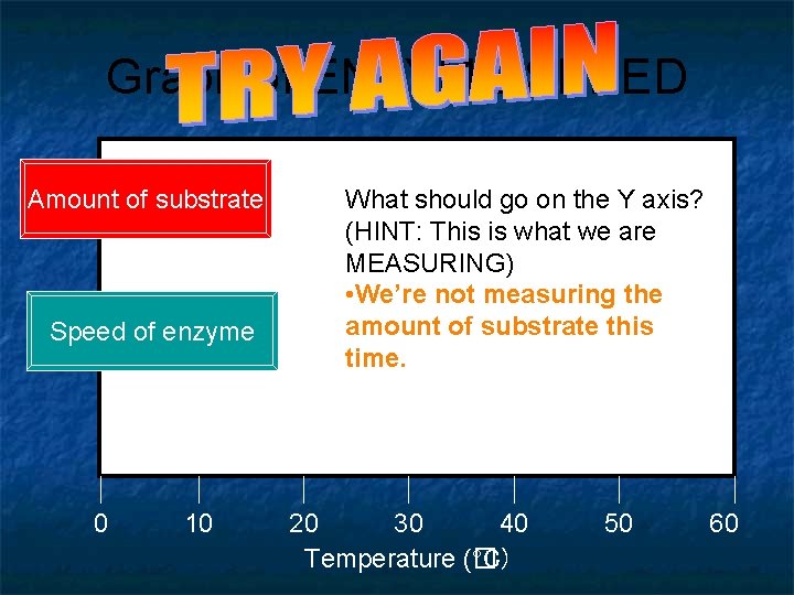 Graph of ENZYME SPEED Amount of substrate Speed of enzyme 0 10 What should