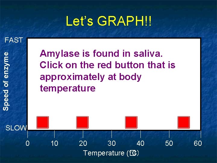 Let’s GRAPH!! FAST Speed of enzyme Amylase is found in saliva. Click on the