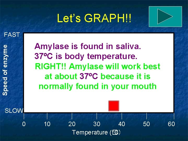 Let’s GRAPH!! FAST Speed of enzyme Amylase is found in saliva. 37 C is