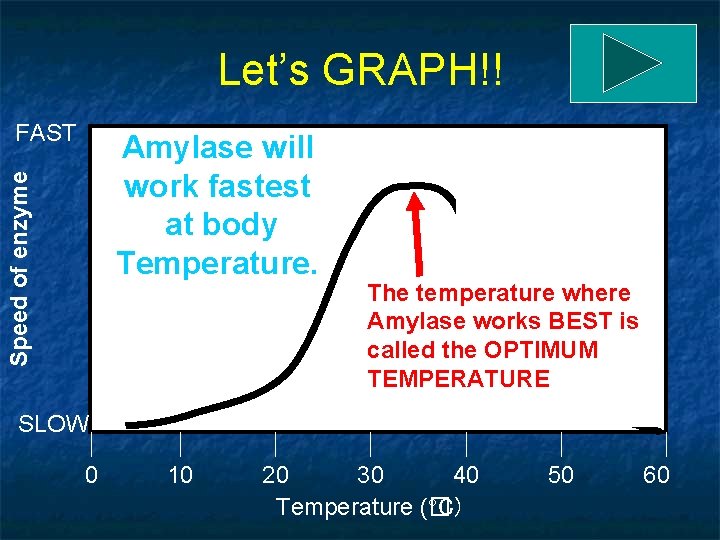 Let’s GRAPH!! FAST Speed of enzyme Amylase will work fastest at body Temperature. The