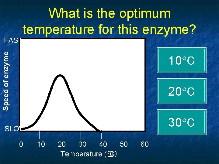 What is the optimum temperature for this enzyme? Speed of enzyme FAST 10 C