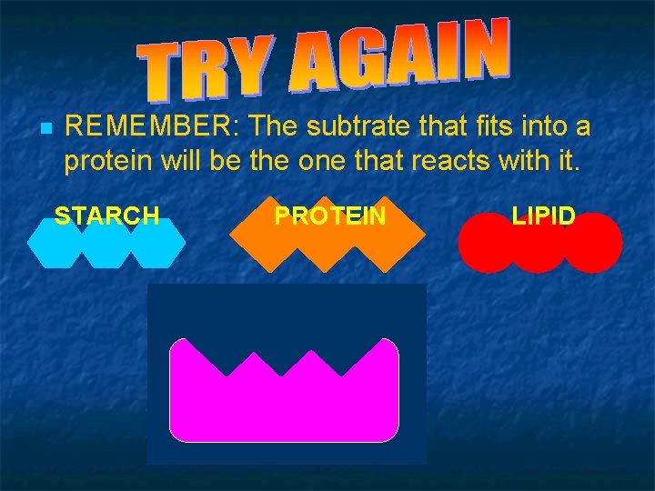 QUIZ - QUESTION 3 n REMEMBER: The subtrate that fits into a protein will