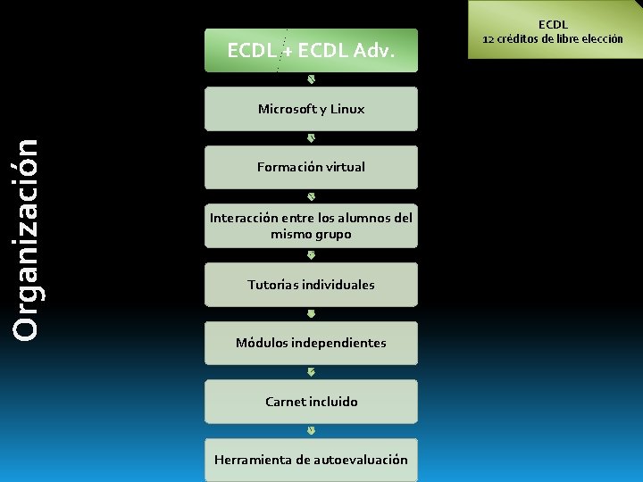 ECDL + ECDL Adv. Organización Microsoft y Linux Formación virtual Interacción entre los alumnos