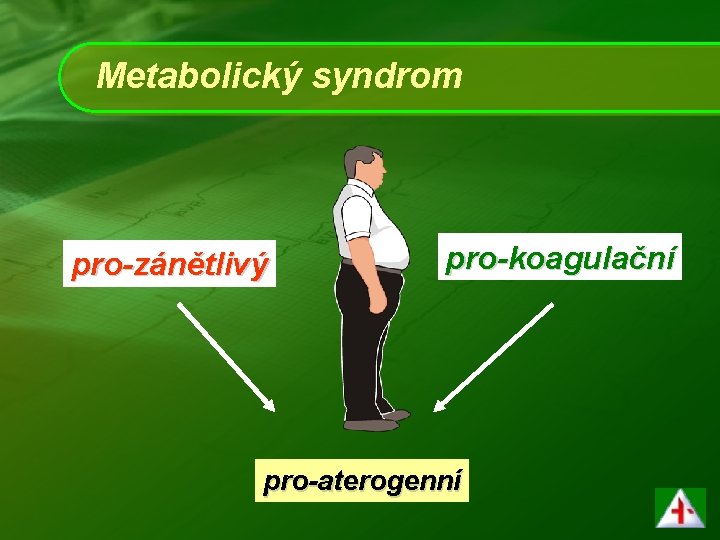 Metabolický syndrom pro-zánětlivý pro-koagulační pro-aterogenní 