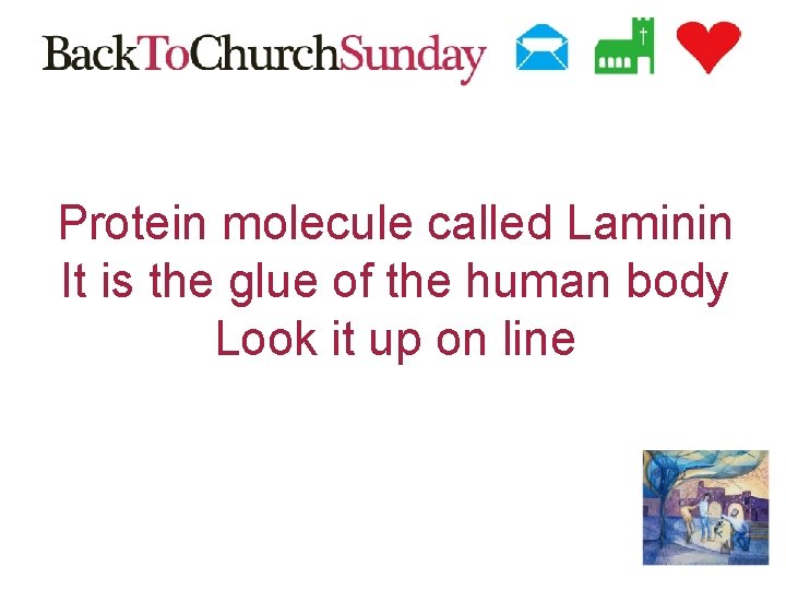 Protein molecule called Laminin It is the glue of the human body Look it