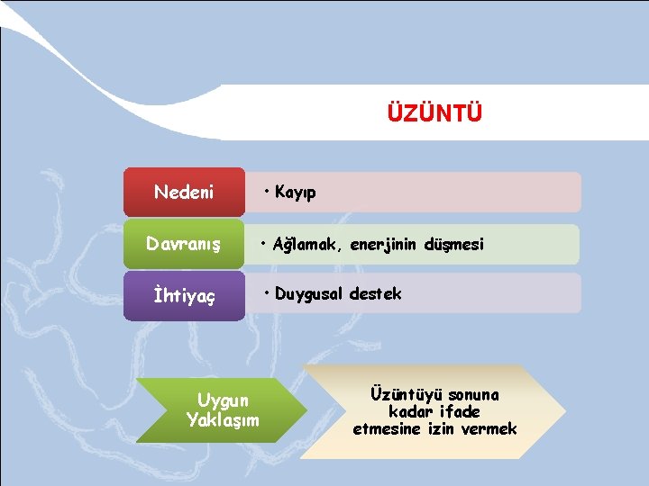 ÜZÜNTÜ Nedeni Davranış • Kayıp • Ağlamak, enerjinin düşmesi İhtiyaç Uygun Yaklaşım • Duygusal