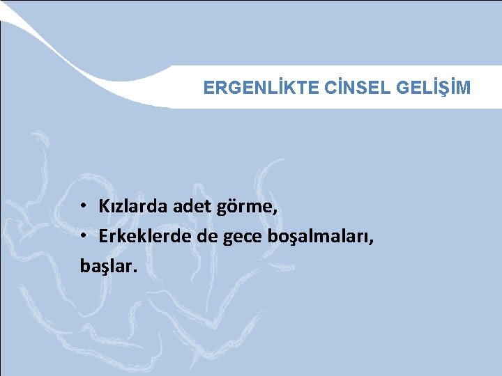 ERGENLİKTE CİNSEL GELİŞİM • Kızlarda adet görme, • Erkeklerde de gece boşalmaları, başlar. 