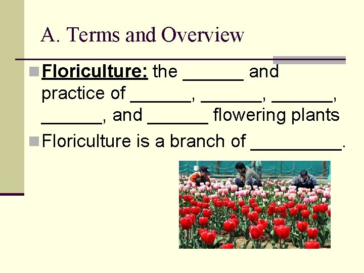 A. Terms and Overview n Floriculture: the ______ and practice of ______, and ______