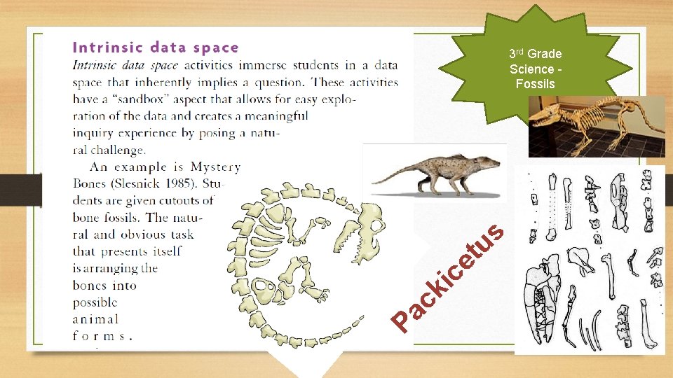 3 rd Grade Science Fossils t e s u c a P c i 3 rd Grade Science Fossils t e s u c a P c i